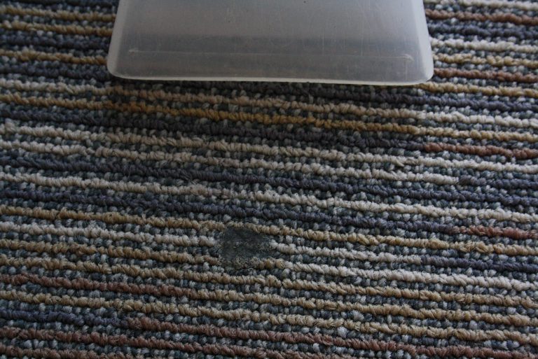 Guma do żucia na wykładzinie