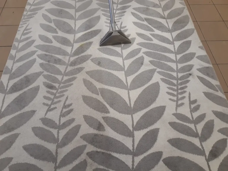 Pranie dywanu w liściaste wzory. Czyste miejsce łatwo porównać z tym sprzed prania.