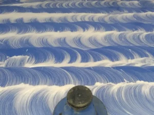 Szorowarka jednotarczowa w akcji podczas czyszczenia wykładziny pcv