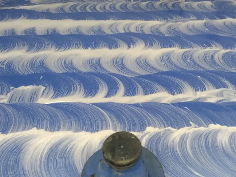 Szorowarka jednotarczowa w akcji podczas czyszczenia wykładziny pcv