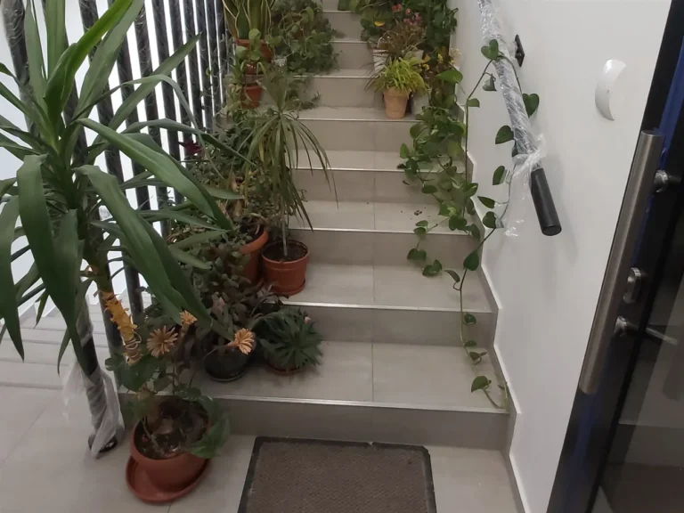 Kwiaty w czasie ozonowania mają wychodne.