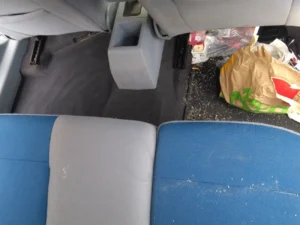 Odkurzanie Ola Astry - efekt przed i po