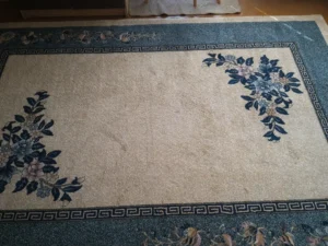 Ładny jasny mięsisty dywan po praniu