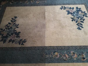 Do połowy wyprany dywan dla ukazania efektu przed i po 2