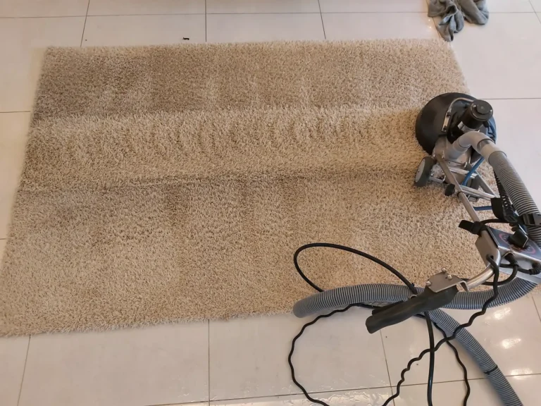 Jasny czysty pas na dywanie to efekt prania maszyną Rotovac 360i