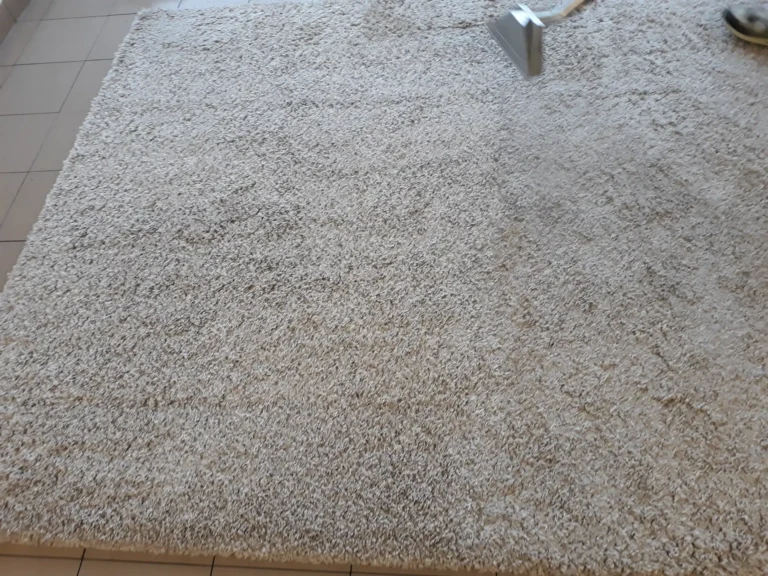 Włochaty dywan shaggy - czyszczenie ekstrakcyjne