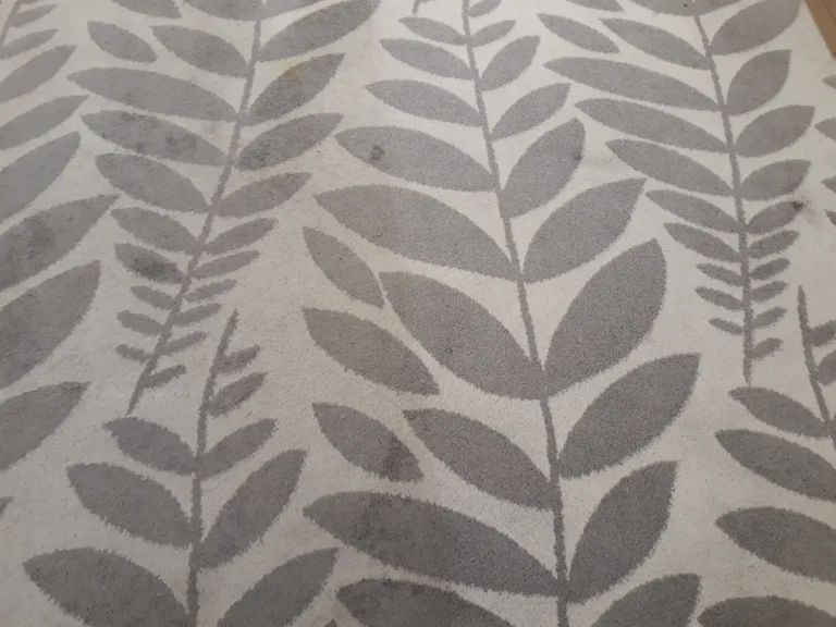 Dobrze widoczny wynik naszych działań przy praniu tego liściastego dywanu.