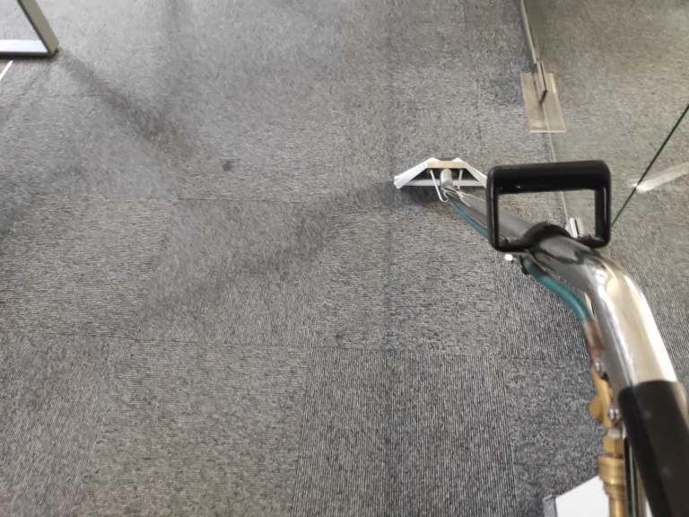 Znajdź jedną różnicę. No tak! Po prawej wykładzina czysta a po lewej brudna.