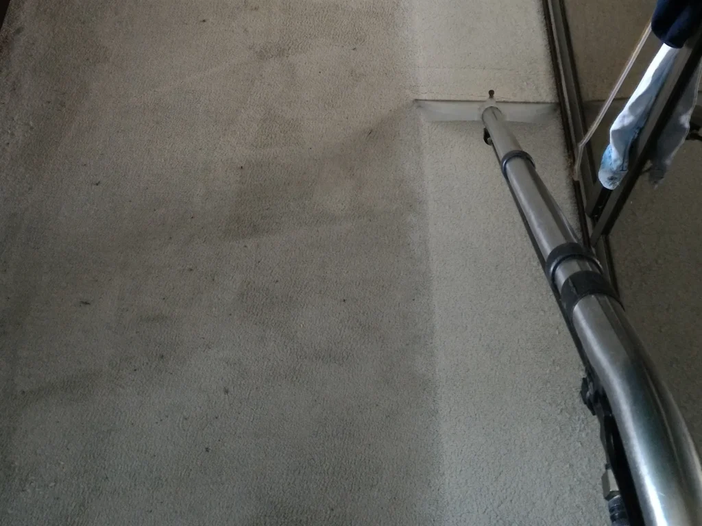 Przywrócenie bieli wykładzinie w domu klienta.