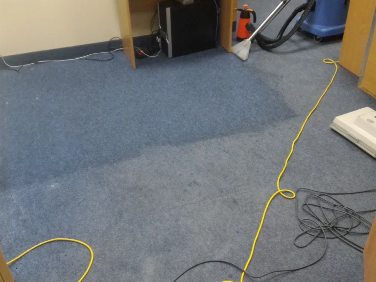 Wykładzina dywanowa w trakcie prania. Efekt przed i po.