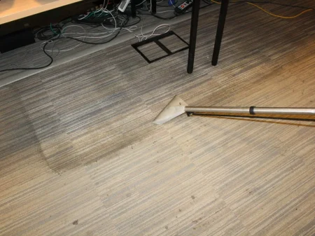 Cropped IMG 3275 (3)